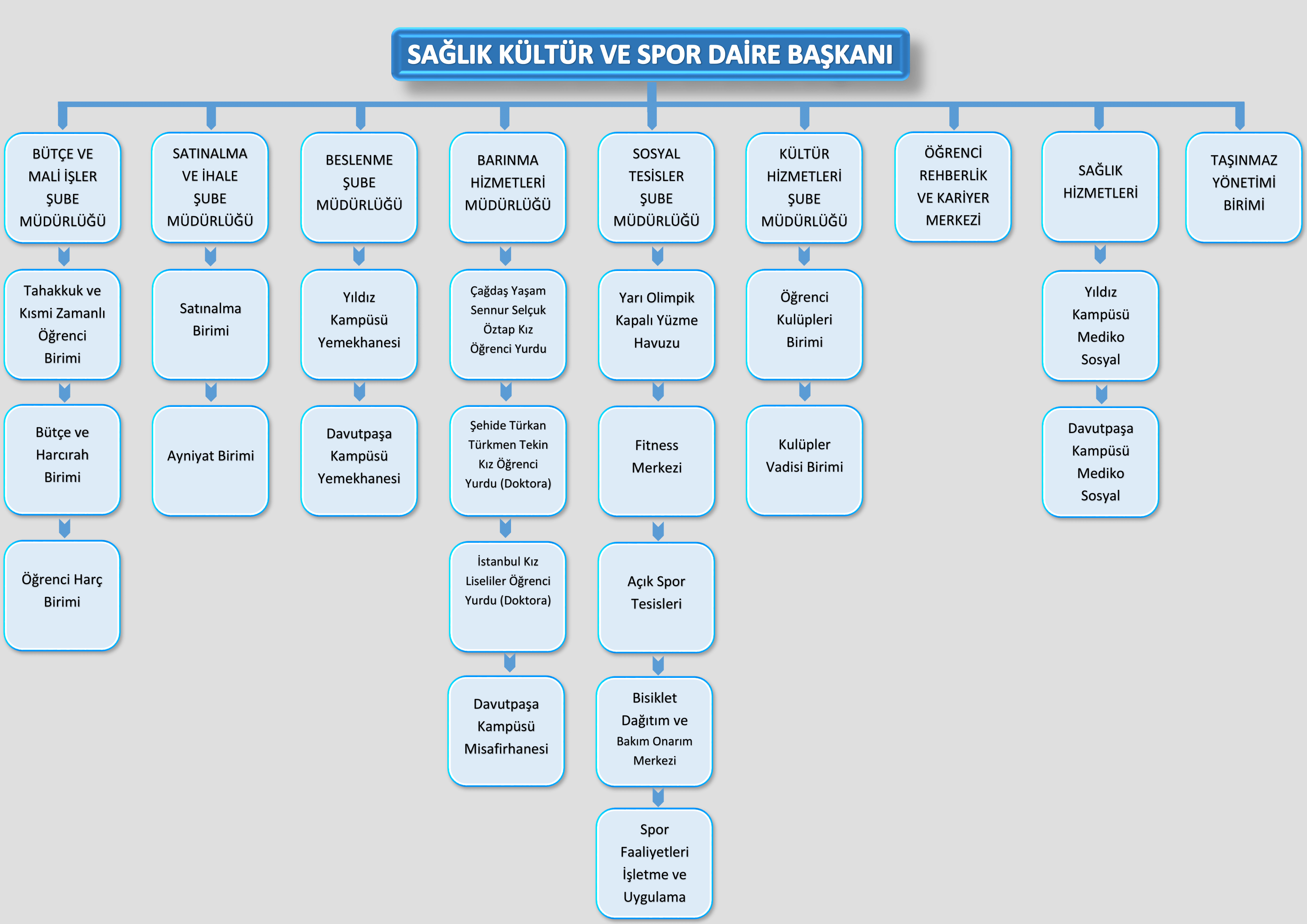 Organizasyon Şeması